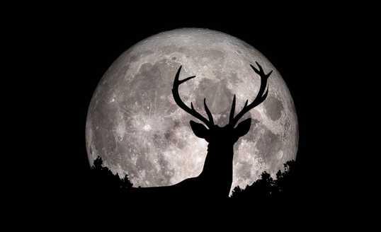 Muncul Malam Ini, Kenali Apa Itu Fenomena Buck Moon